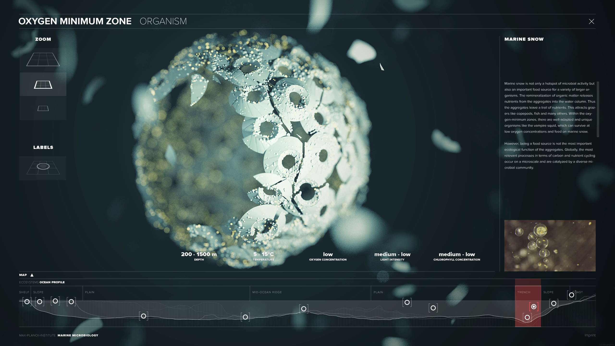 Scientific Poster / Marine Microbiology Luna Nane